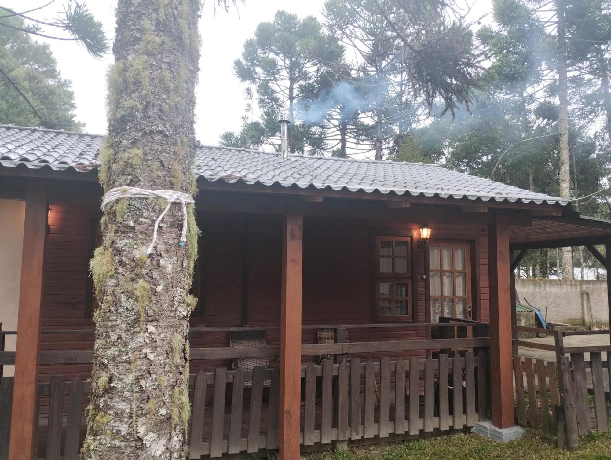 Lodge Flor Dos Manacas